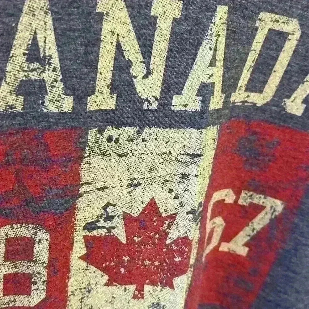 Men's small Canada Niagara Falls distressed grey teeshirt - Picture 4 of 6